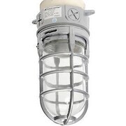 Lithonia Lighting Lithonia VC150I M12 150 W Incandescent Ceiling Mount Vapor Light VC150I M12